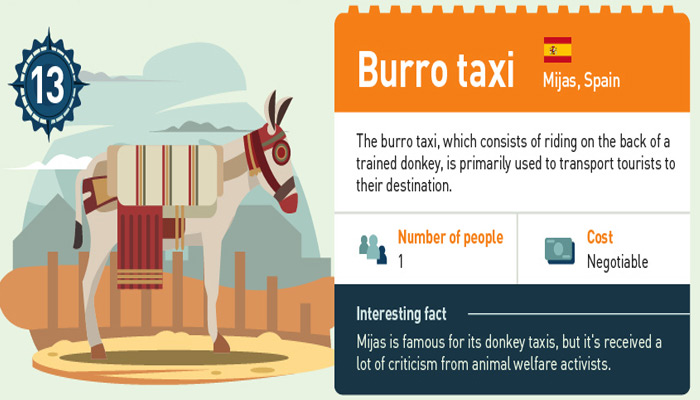 Das spanische Burro-Taxi