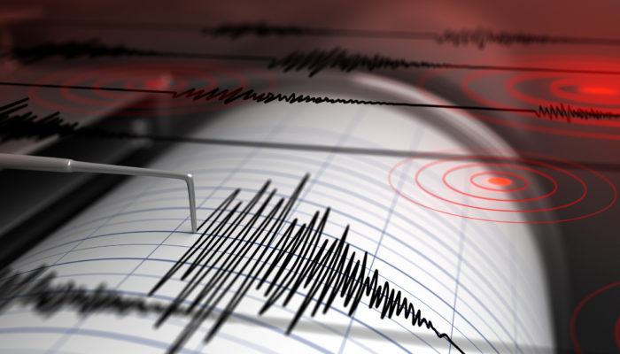 Seismograph; Foto: iStock.com/Petrovich9